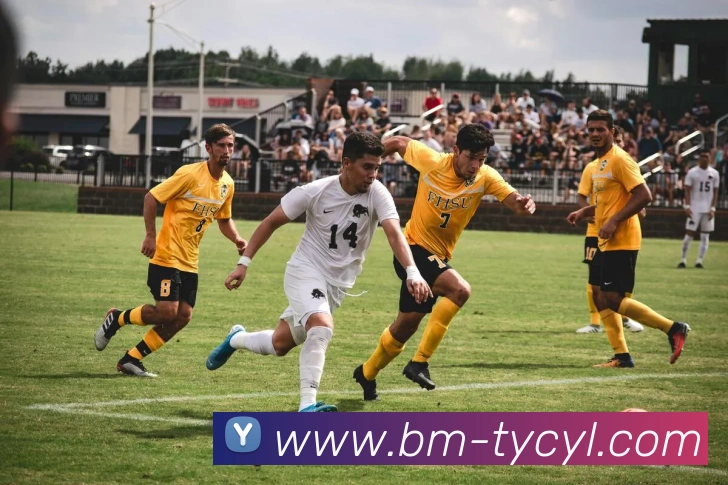 澳门太阳城发展历程